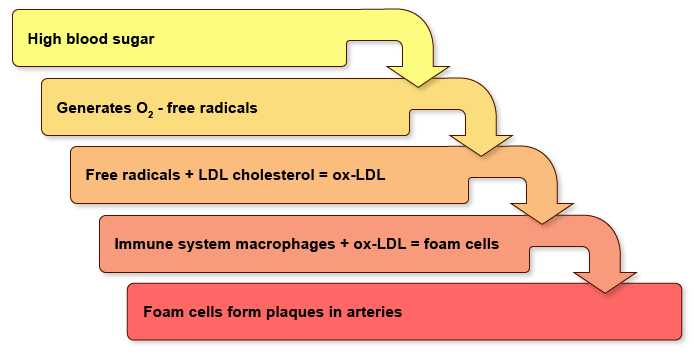 High Blood Sugar Turns Cholesterol into Artery-Clogging Plaques