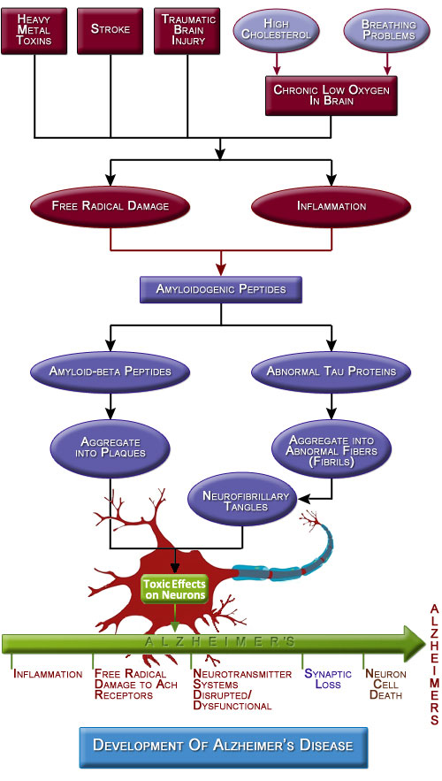 Figure iii.5 Events Leading to Alzheimer's disease Figure iii.5 Events Leading to Alzheimer's disease