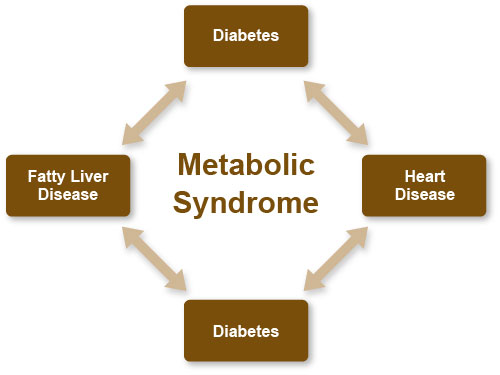 Figure IV.1 Metabolic Syndrome