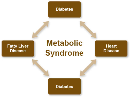 Figure IV.1 Metabolic Syndrome Figure IV.1 Metabolic Syndrome