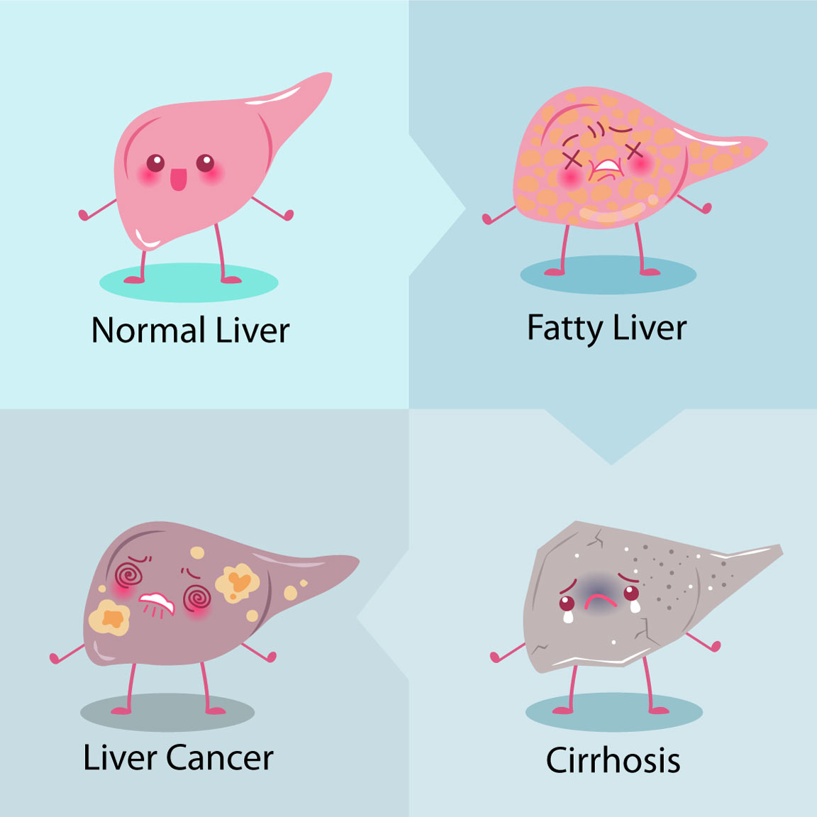 Alpha lipoic acid may help prevent liver disease.