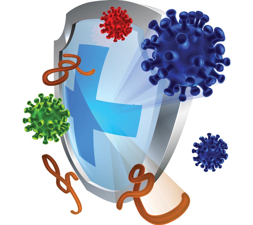 Immune-boosting alpha lipoic acid fights bacteria & viruses, including those that cause hepatitis C, HIV, gum disease, & flu. Fight Infections