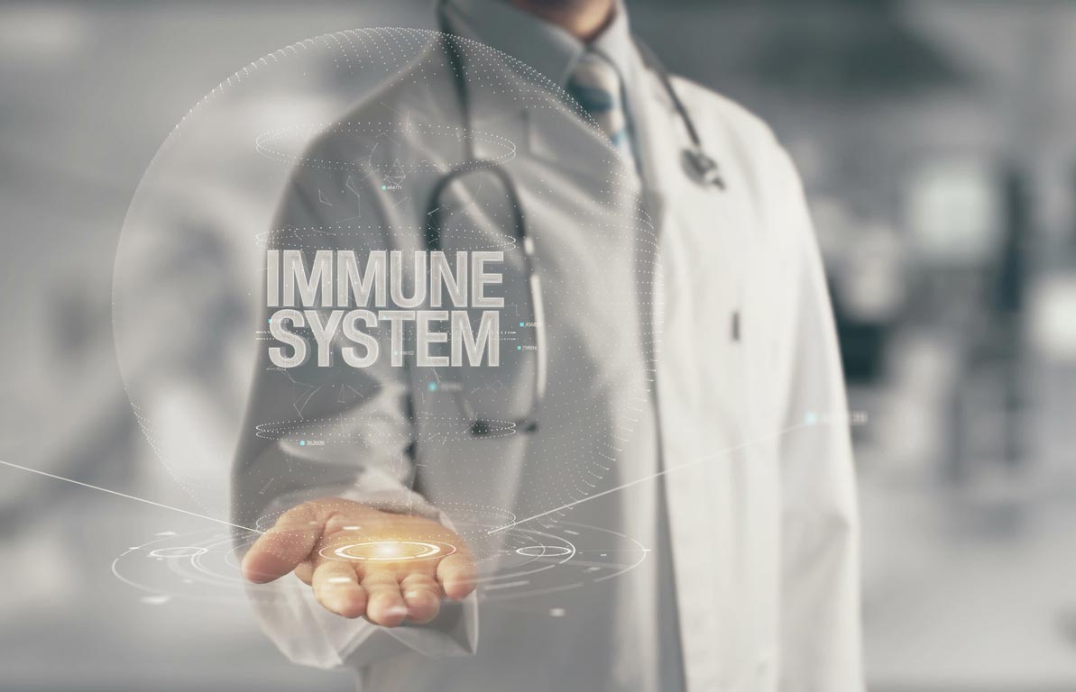 Alpha Lipoic Acid Boosts the Immune System One of the ways the antioxidant alpha lipoic acid can help prevent or treat many different diseases and conditions is by boosting your immune system.