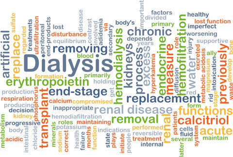 words including: chronic, kidney, calcitriol, maintaining, progressive, process, chronic, dialysis, artificial, functions, renal disease, calcium, transplant, phosphorus