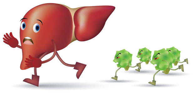 Chemical toxins, parasites, and viruses can damage the liver and cause liver disease and liver failure.
