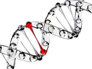 Some metabolic disorders are genetic, and some attack how cells generate energy and can lead to increased cancer risk. DNA & Genetics
